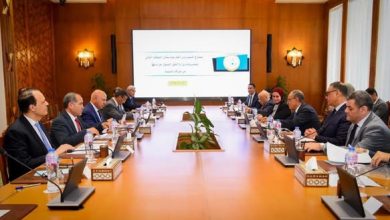وزير الخارجية يبحث مع وزير النقل مشروعات التنمية في قطاع النقل