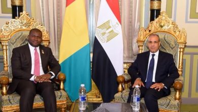 وزير الخارجية يلتقي وزير التعاون الدولي والتخطيط بجمهورية غينيا ويبحثان سبل تعزيز التعاون التنموي والاقتصادي