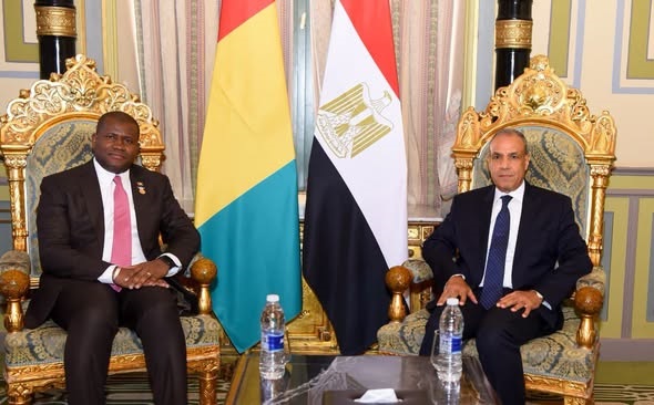 وزير الخارجية يلتقي وزير التعاون الدولي والتخطيط بجمهورية غينيا ويبحثان سبل تعزيز التعاون التنموي والاقتصادي