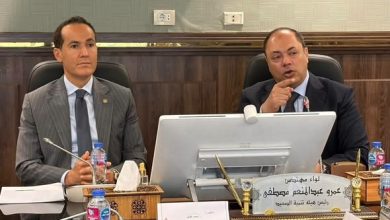 "تنمية الصعيد" و"العامة للاستثمار" تبحثان آليات جذب الاستثمارات وتوسيع الشراكات الاقتصادية بمحافظات الصعيد