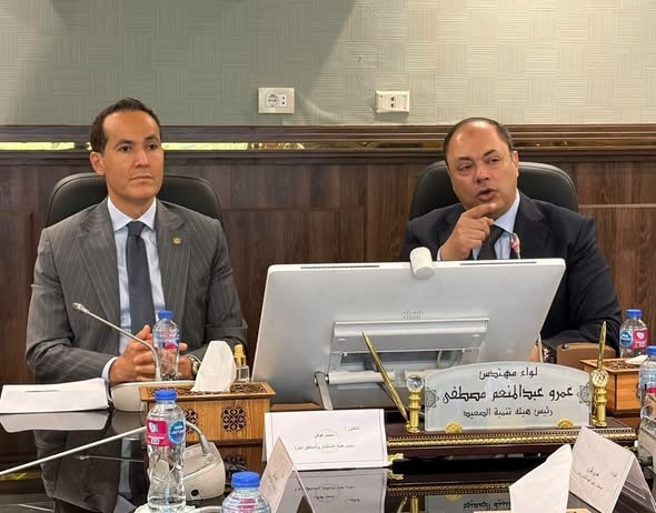 "تنمية الصعيد" و"العامة للاستثمار" تبحثان آليات جذب الاستثمارات وتوسيع الشراكات الاقتصادية بمحافظات الصعيد