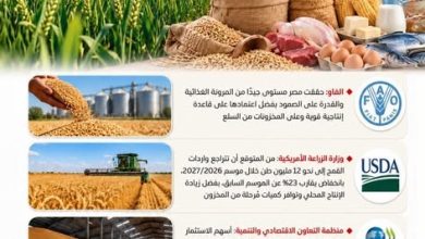 المركز الإعلامي لمجلس الوزراء: مؤسسات دولية تشيد بقدرة مصر على مواجهة تداعيات الأزمة الإقليمية على الأمن الغذائي
