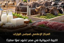 المركز الإعلامي لمجلس الوزراء الثروة الحيوانية في مصر تشهد نموًا مطردًا وارتفاعًا في الإنتاج المحلي من اللحوم والألبان