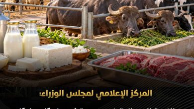 المركز الإعلامي لمجلس الوزراء الثروة الحيوانية في مصر تشهد نموًا مطردًا وارتفاعًا في الإنتاج المحلي من اللحوم والألبان