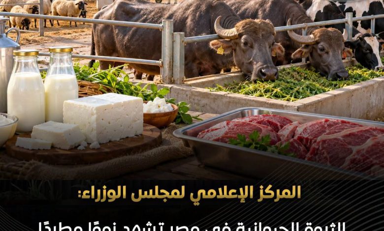 المركز الإعلامي لمجلس الوزراء الثروة الحيوانية في مصر تشهد نموًا مطردًا وارتفاعًا في الإنتاج المحلي من اللحوم والألبان