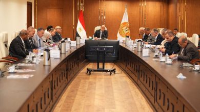 دعم مستمر لخطط تأهيل الشباب لسوق العمل في الداخل والخارج تنفيذًا لتوجيهات الرئيس السيسي..