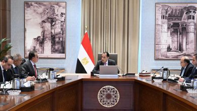 رئيس الوزراء يتابع مستجدات جلسة صحة المواطن