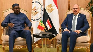 سويلم يلتقي وزير المياه والصرف الصحي السنغالي لبحث تعزيز التنسيق في قضايا المياه الأفريقية