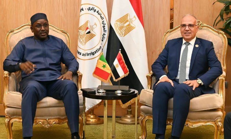 سويلم يلتقي وزير المياه والصرف الصحي السنغالي لبحث تعزيز التنسيق في قضايا المياه الأفريقية