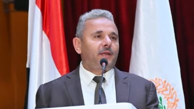 شعبة الطاقة المستدامة شمس الصناعة فرصة لفتح سوق الكهرباء أمام القطاع الخاص