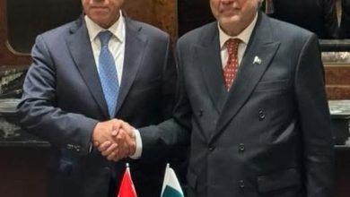 عبد العاطي ونظيره الباكستاني يبحثان تعزيز العلاقات الثنائية وجهود خفض التصعيد