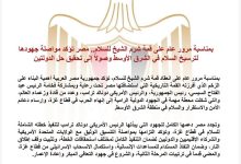 مصر تؤكد مواصلة جهودها لترسيخ السلام في الشرق الأوسط وصولاً إلى تحقيق حل الدولتين
