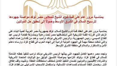 مصر تؤكد مواصلة جهودها لترسيخ السلام في الشرق الأوسط وصولاً إلى تحقيق حل الدولتين