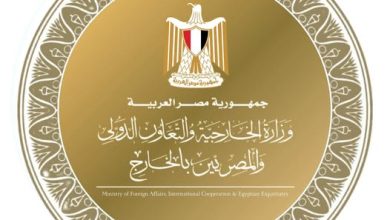 وزارة الخارجية تتابع حالة المتسلل للحدود مع إسرائيل