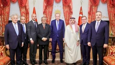 وزير الخارجية يلتقي الرئيس التركي