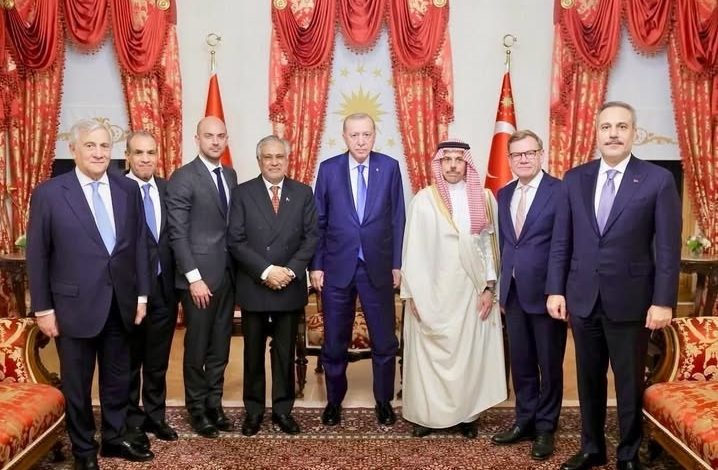 وزير الخارجية يلتقي الرئيس التركي