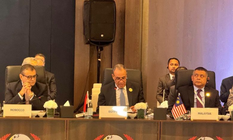 وزير الخارجية يلقي كلمة مصر في اجتماعات الدورة الـ٥٢ لمجلس وزراء خارجية منظمة التعاون الإسلامي