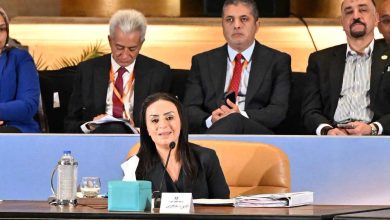 وزيرة التضامن 48,225 حضانة على مستوى الجمهورية.. و1.77 مليون طفل ملتحق فعليًا بدور الحضانات
